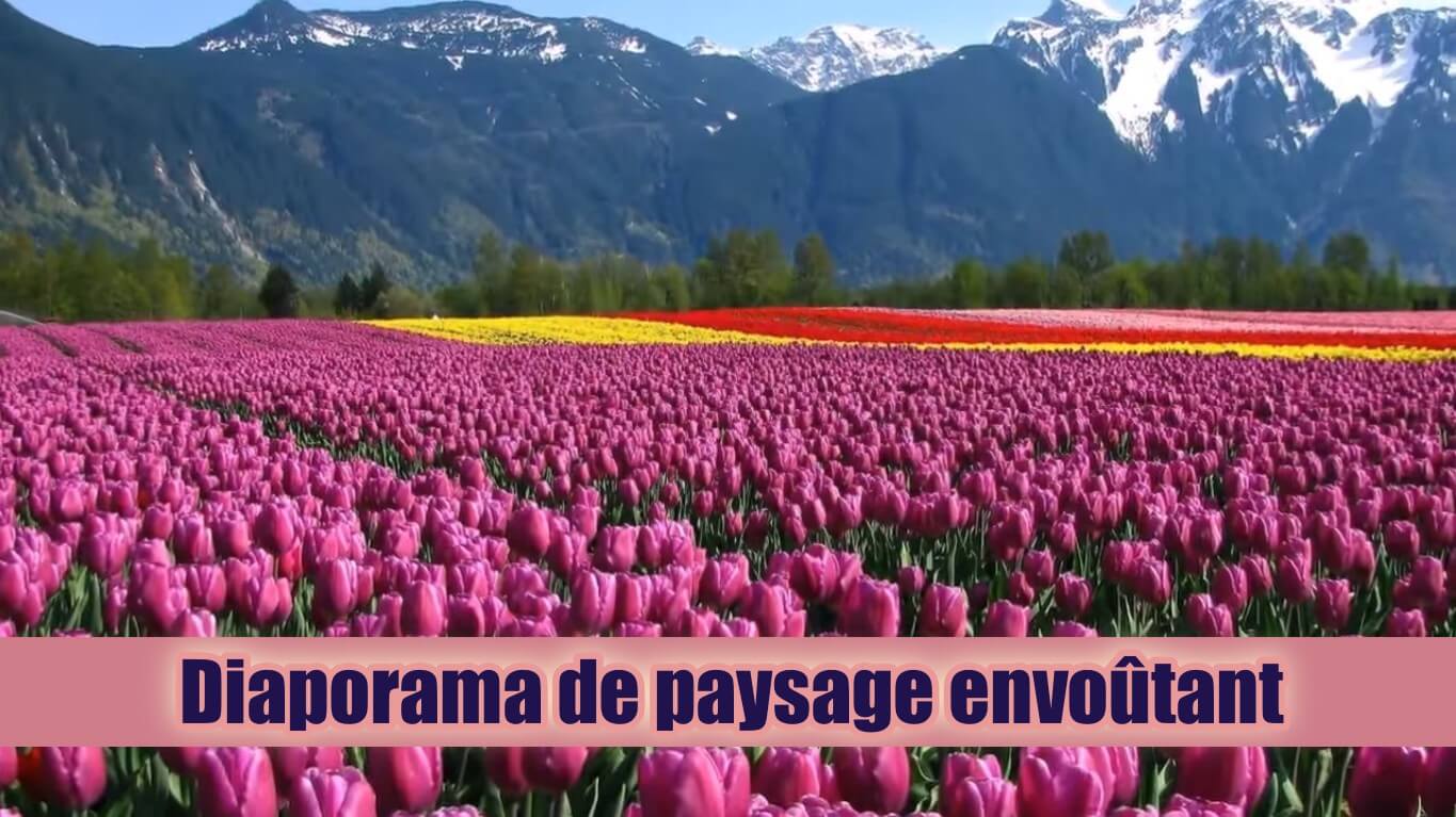 Exemple d'un diaporama de paysage envoûtant