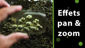 Comment créer un effet Panoramique et zoom